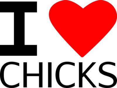 I Love Chicks Novelty T Shirt