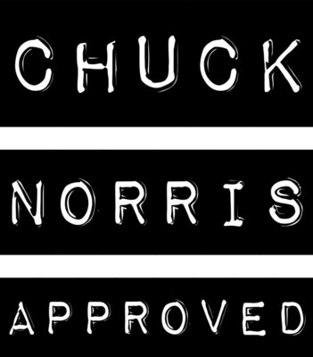 Chuck Norris Approved T Shirt